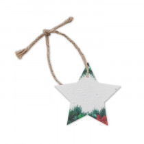 Kerstster Zaadpapier