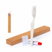 Tandenborstel met Tandpasta